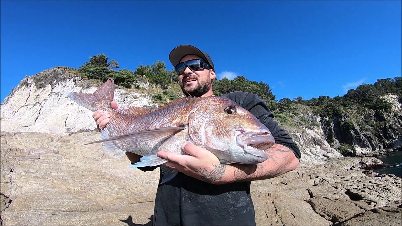 Huge Snapper off the rocks using my secret bait - YouTube