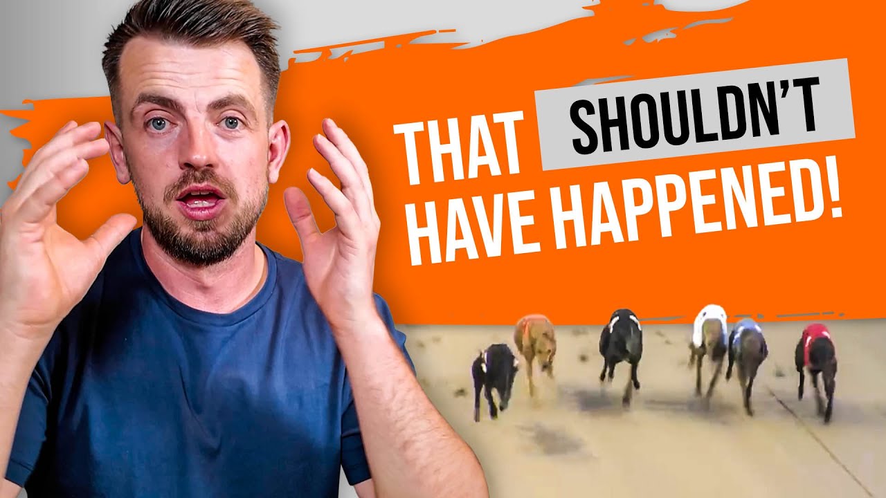 Local Greyhounds RULE at the Yarmouth Derby... Or Do They? | Professional Greyhound Betting