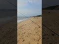 Gorleston wreck beach fishing