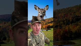 Pennsylvania has TONS of deer! But is it a great state to deer hunt?