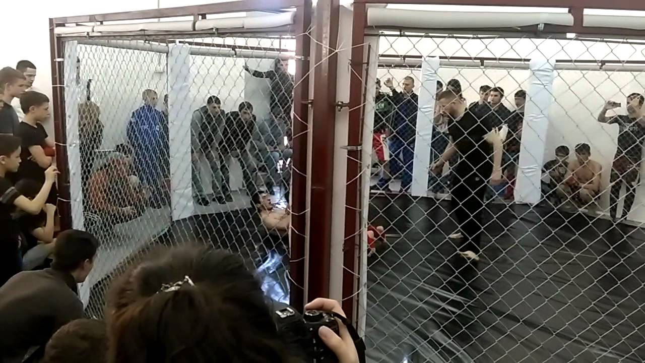 C��������� 10�� �������� ��������: ����.