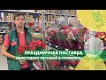 Праздничная поставка новогодних горшечных растений в Гринвилль! Много новинок!