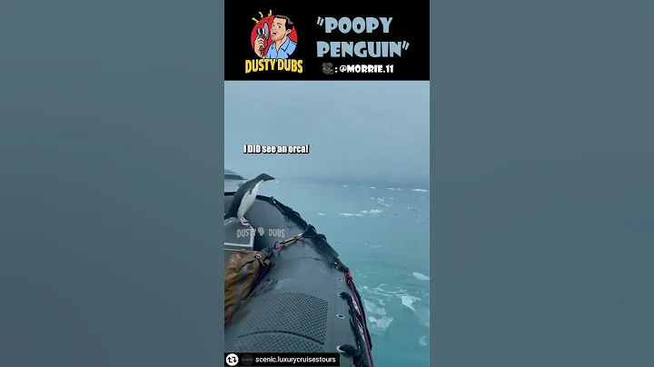 Poopy Penguin 💩🐧 #shorts