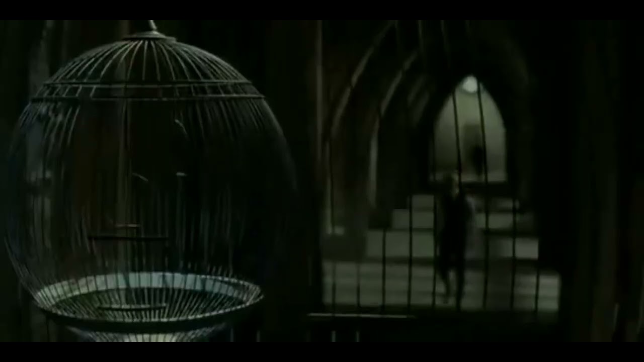 Draco Malfoy with Katie Bell,Astoria Greengras and Scorpius Hyperion