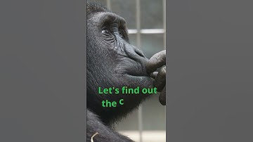 Quiz: ultimate Trivia Showdowns: Test Your Knowledge and Have Fun!  #shortvideo