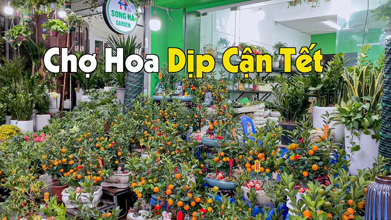 Tết Hà Nội: Chợ Hoa Hoàng Hoa Thám Dịp Cận Tết Nguyên Đán 2024 | Hùng Nasu