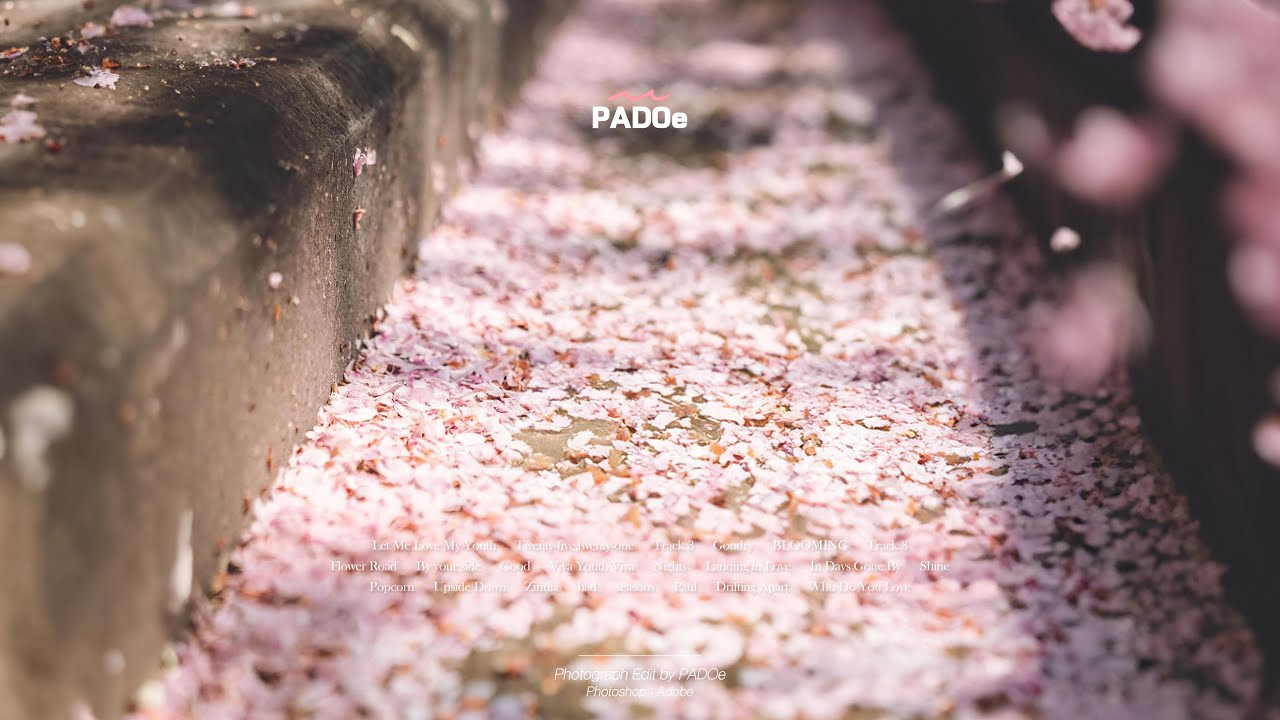 [𝑷𝒍𝒂𝒚𝒍𝒊𝒔𝒕] Let's sing our youth at the edge of spring