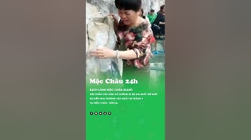 Cầu kính dài nhất Đông Nam Á và có đường đi bộ dài nhất thế giới - Bạch Long Mộc Châu ISLAND