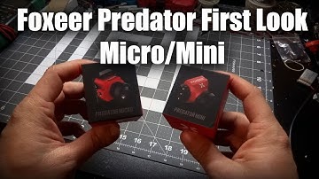 Foxeer Predator Micro/Mini First Look