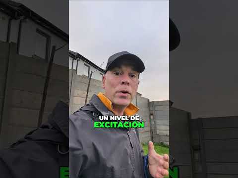 ¿Cómo calmar a un perro muy excitado? El truco de 5 minutos.