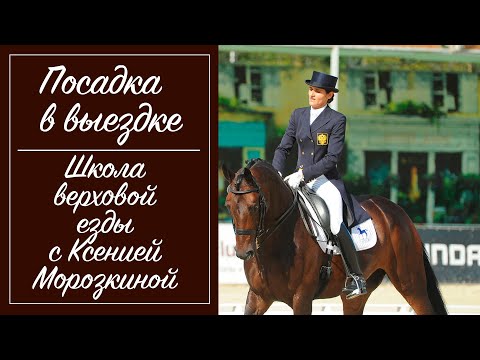 Вопрос: Как успешно осуществить базовую выездку лошади?