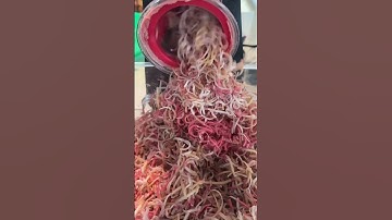 It’s Confetti Soap Time #artisansoap #soapmaking #handmade #soap