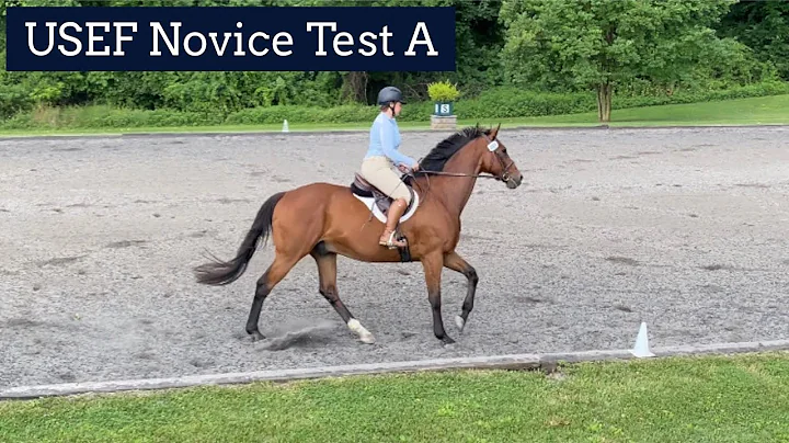 2022 USEF Novice Test A // Thornridge Manor // Charlie 06182022
