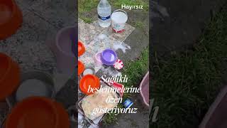 “ canlarımız için temizlik”cat #sokak #katze “