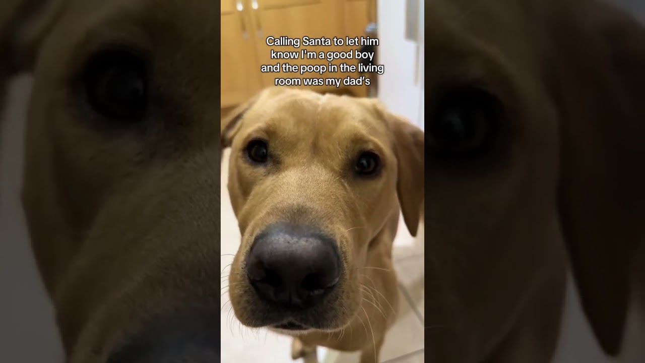 Calling my og homie 📞 