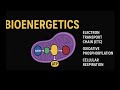 Bioenergetics | Electron transport chain | ETC | Oxidative phosphorylation | Cellular respiration