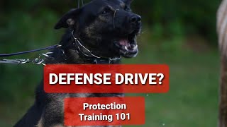 How to use Defensive Aggression in Protection Training and more