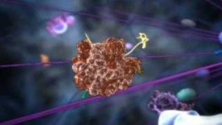 Cell Journey deep Inside