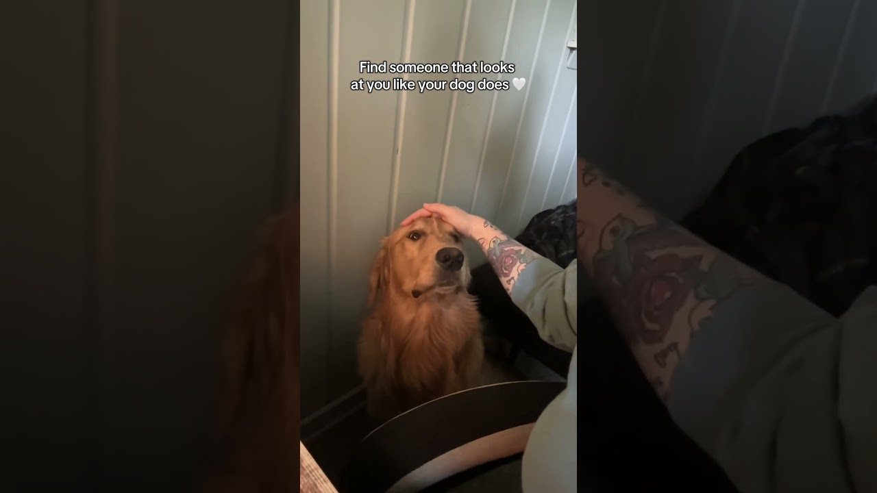 The sweetest boy🥹💙 