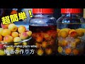 【簡単】冷凍梅で簡単梅酒の作り方（南高梅）　【Easy】 Easy with frozen plum How to make plum wine