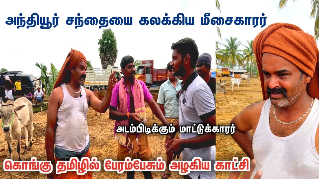 அந்தியூர் சந்தையில் பேரம்பேசி அசத்திய மீசை🧔500 குறைக்கமாட்டியா❗anthiyur market 2023 horse நாட்டுமாடு