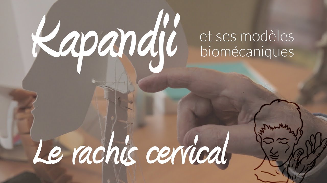 Le Rachis Cervical révèle ses secrets : le modèle biomécanique de Kapandji