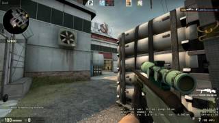 Scout double headshot