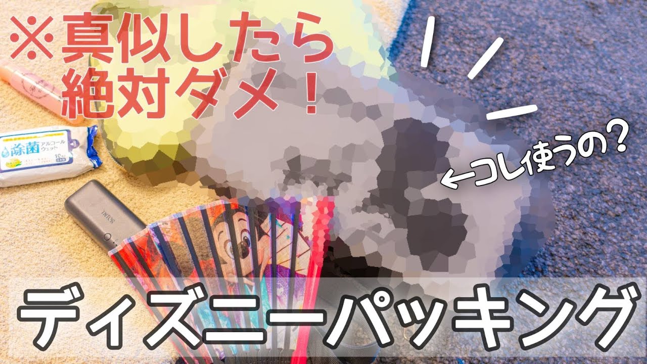 真似厳禁 待ち時間で活用できるディズニーの持ち物 最低限で男のパッキングしてみた Youtube