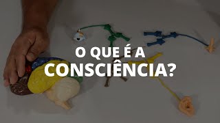 Entenda, CIENTIFICAMENTE, o que é a CONSCIÊNCIA