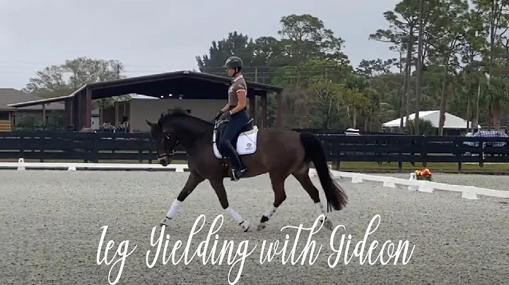 Leg Yielding with Gideon