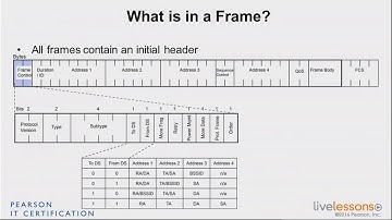 3 2 Frame Content and Types   CCNA Wireless 200 355