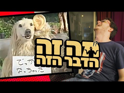 וִידֵאוֹ: מה זה קונה שותף?