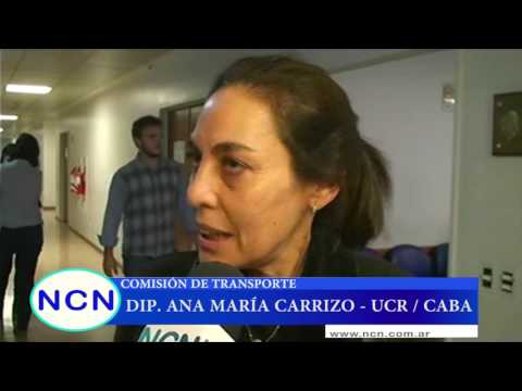 Dip. Ana María Carrizo - Boleto Educativo