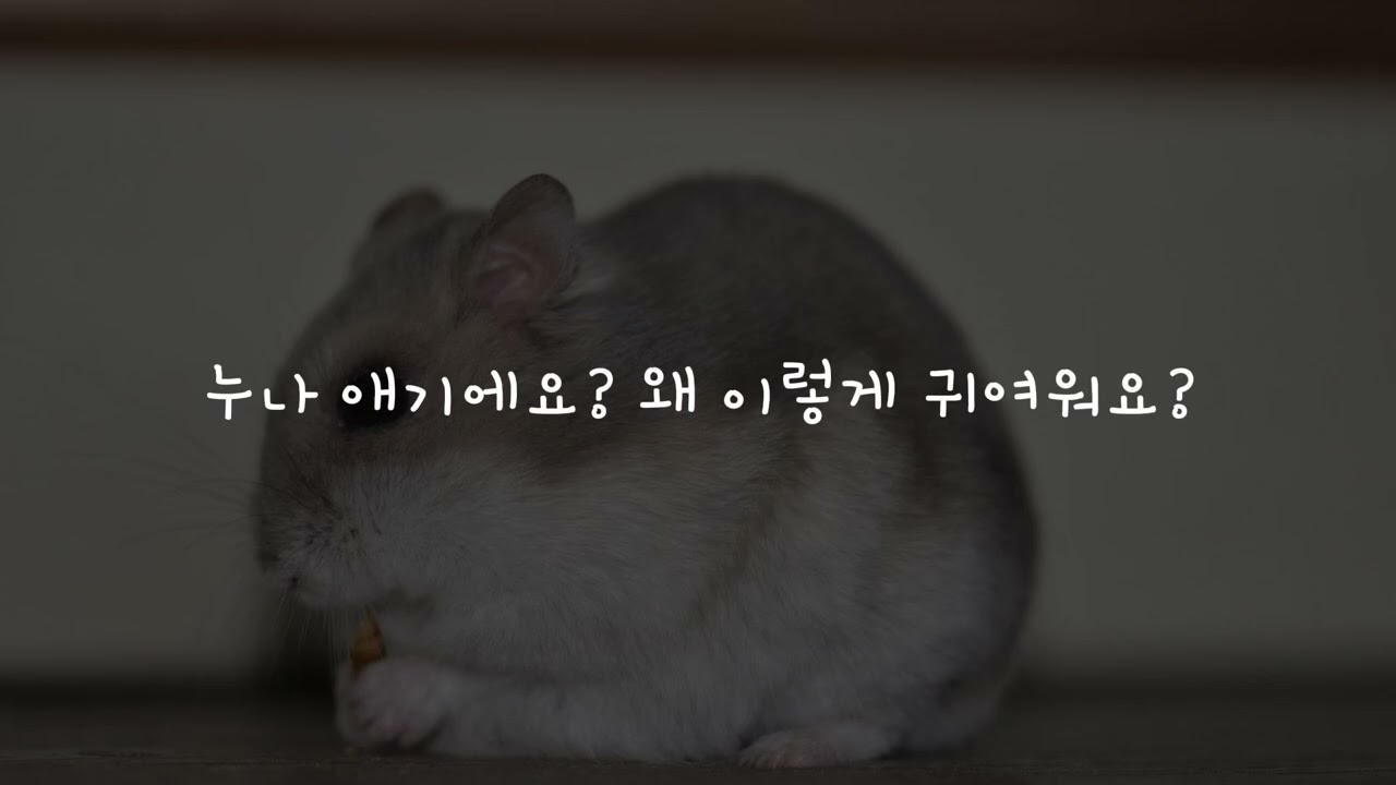 [남자asmr] 여자친구를 귀엽다며 애기 취급하는 연하 남자친구asmr (boyfriend asmr)