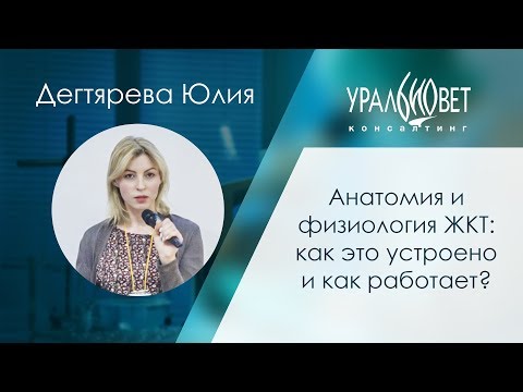 Анатомия и физиология ЖКТ: как это устроено и работает? Дегтярева Юлия #убвк_гастроэнтерология