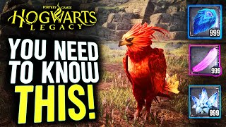 Everything You NEED To Know About Your Vivarium in Hogwarts Legacy!