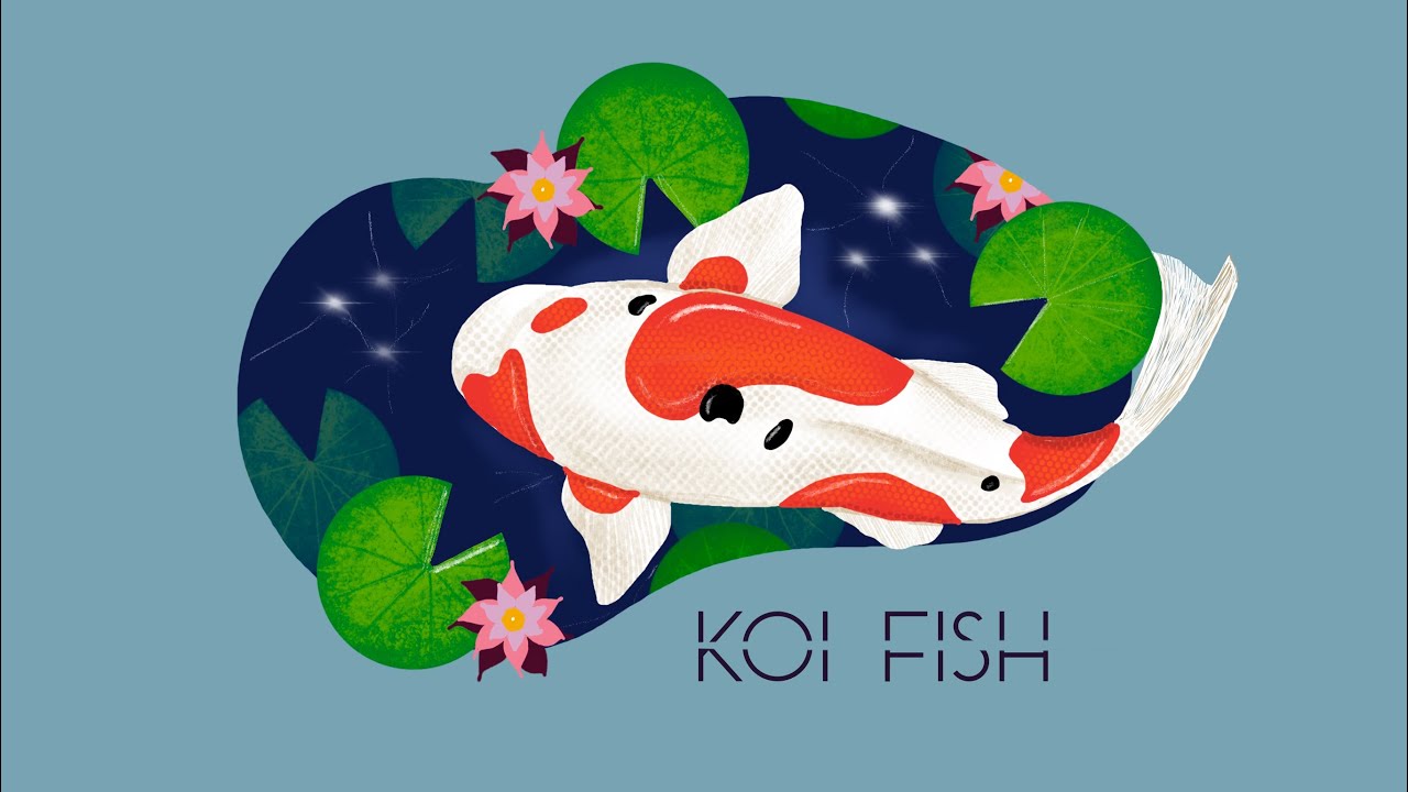 Procreate Koi Fish Tutorial Simple Procreate illustration for beginners⦠beautiful koi fish drawing ...