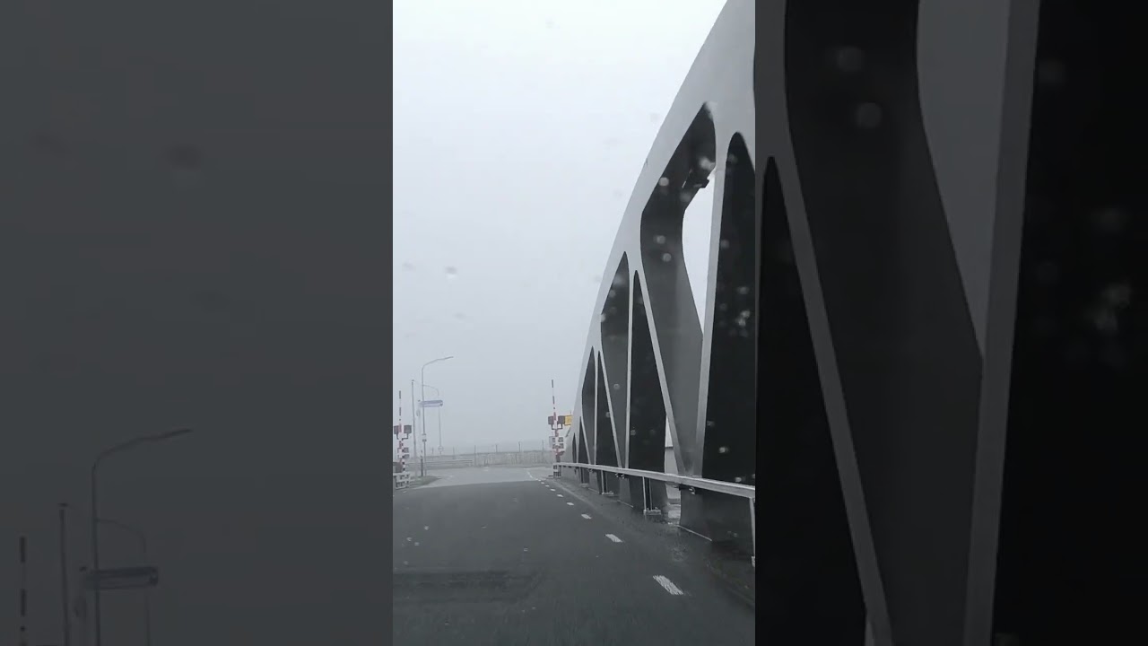 Going to Groningen Napa foggy.