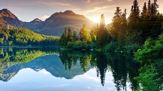 Очень спокойная музыка, поможет быстро расслабиться