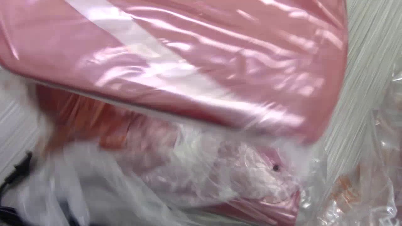 Review Miracle Gro Aerogarden countertop herb garden