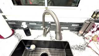 Delta Faucet Arabella Kitchen Sink - 12 Years Still Going
