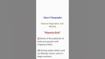 Migratory Birds Class 9 Geography Cbse Exam 🦃🦅🦆🦉🦚🦜🦢🦤🦩🐓🐣