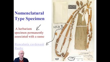 Nomenclature 02 The Rules