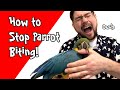 Stop Parrot Biting - Guaranteed Way to Prevent Bites!