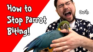 Stop Parrot Biting - Guaranteed Way to Prevent Bites!
