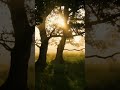 FINE ART | Intelligent Drum and Bass | BEGA LAB