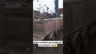 #шортс#юмор#приколи#гумор #жарти #топ #село #tiktok#sorts#ютуб#сімх#