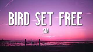 Bird Set Free - Sia (Dope Lyrics) 🎵