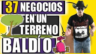 37 NEGOCIOS QUE PUEDES INICIAR EN UN TERRENO BALDIO