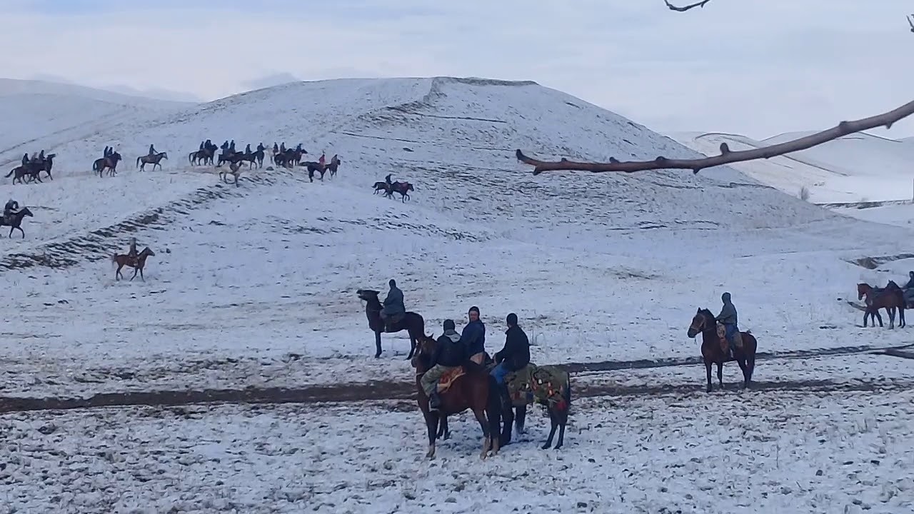 Погода в шурообод